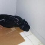 5e83457d9e1b4 1 150x150