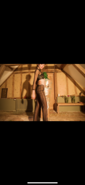 IMG 0730 176x380